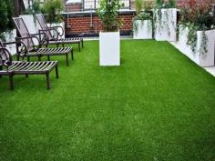 Looking to create a cozy vibe in your balcony or terrace? Buy Artificial Grass Nottingham!

Some equipment, such as seaming tape and adhesive, are required while installing artificial grass. You'll also require sand, crumb rubber, a shock pad underlay, and nails. Want to know about Artificial Grass Nottingham? Visit Artificial Grass GB; they host an array of chic, synthetic turf products that’ll bring a lush appeal to your lawn.