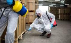 Are you looking for best fumigation services in Rangburg. Then you are in right place JT Solution have a professional team of experts to provide you best quality fumigation at affordable price.