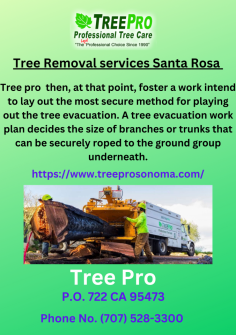 Santa Rosa Tree Removal best Tree Services Tree Care, Fire Clearance. Contact us now for fast Tree Removal service.
