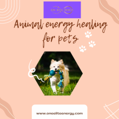Animal energy healing for pets. Separation anxiety, aggressive behavior, general anxiety & much more. Animal energy healing is based on the belief that all living beings possess an energy field or life force, and when this energy becomes imbalanced or blocked, it can lead to various health problems. Visit our website today: https://www.oneeliteenergy.com/ 