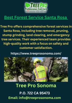 Tree Pro offers  thorough backwoods administrations in Santa Rosa, including tree evacuation, pruning, stump crushing, land clearing, and crisis tree administrations. Their accomplished group furnishes great work with an emphasis on wellbeing and consumer loyalty.