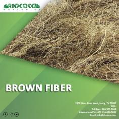 RIOCOCO is one of the leading manufacturers of 100% organic & natural coco coir for hydroponics, horticulture, urban gardening, vertical hydroponics farming, substrates, industrial absorbents, etc. With more than 20 years of experience, we have been serving premium quality coco coir products across the world. Our experts produce brown, white, and bristle coir fibers for several domestic & industrial applications. We have a solid infrastructure by which we can easily produce high-quality products for our customers. For more info, just click the link https://www.riococo.com/