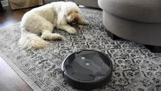 Find the best robot vacuum for pet hair with comprehensive reviews and expert insights. These robotic vacuum for pet hair reviews provide valuable information on the top-performing models, designed specifically to tackle pet hair and keep your house and also fur-free. Browse through the detailed pet hair robot vacuum reviews to find the perfect diamond necklace for your requirements, considering factors such as performance, efficiency, and ease of use. Make the best decision with the help of pet hair robotic vacuum reviews, and feel the convenience of a dependable and robust cleaning solution tailored to pet owners. To learn more explore this useful webpage: https://www.target.com/p/bobsweep-pethair-robot-vacuum-cleaner-and-mop-red/-/A-54282086