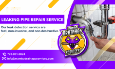 Professional Pipe Replacement Service

Our experienced leaking pipe repair service offers quick and dependable solutions to even the most difficult plumbing leaks. Contact us now - 778-961-0824.