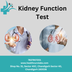 Complete Guide to Kidney Function Test in Chandigarh: Importance, Procedure, and Results

Ensure optimal kidney health with reliable kidney function tests in Chandigarh. Discover accurate diagnostic services, including blood and urine tests, to assess your kidney function. Find trusted healthcuro  providers and laboratories offering comprehensive screenings to detect potential kidney disorders early. Take control of your well-being and book in your test  Healthcuro clinic in Chandigarh today.

https://healthcurolabs.com/kidney-function-test-in-chandigarh/