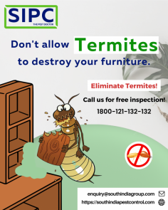 It is important to consult with professional termite control in Bangalore before deciding on the best course of action for your situation. To get your free inspection call us at +91 8089000023!

Visit: 
https://southindiapestcontrol.com/termite-control-bangalore/

