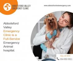 Visit Abbotsford Vet Emergency's exceptional emergency vet clinic in Agassiz for compassionate veterinary care during emergencies. Our experienced veterinarians and caring staff are committed to providing prompt and comprehensive care for your pets when they need it most. With advanced facilities and a dedication to excellence, we prioritize your pet's well-being and offer the highest standard of care in Agassiz.