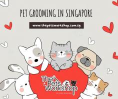 Pet grooming Singapore has become an essential service for pet owners who want to ensure their furry companions look and feel their best. With a plethora of professional pet grooming salons scattered across the city-state, pet parents can easily find a grooming service that suits their beloved pets’ needs. These grooming establishments offer a variety of services, including bathing, fur trimming, nail clipping, ear cleaning, and even luxurious spa treatments. The experienced groomers are well-versed in handling different breeds and temperaments, ensuring a stress-free grooming experience for pets. Beyond the aesthetic benefits, regular grooming sessions also play a crucial role in maintaining your pet’s overall health and hygiene. Groomers often check for skin issues, parasites, or any abnormalities that may need veterinary attention. Singapore’s pet grooming industry continues to thrive, driven by the unconditional love and care pet owners have for their four-legged companions. By availing these services, you can be assured that your pets will not only look dashing but also stay happy and healthy throughout their lives.

Website : https://www.thepetsworkshop.com.sg/