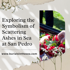 The scattering of ashes at sea in San Pedro holds the power to heal, transform, and honor. It is an opportunity to embrace the eternal connection with our loved ones, find solace in nature’s embrace, and navigate the complexities of grief. To know more visit Beyond The Sea Memorial Services.