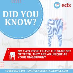 Did you know this about teeth?  |  Emergency Dental Service 

Did you know that no two people have the same set of teeth? They are unique as your fingerprint. Though there is a general pattern to tooth shapes, what really makes them different are their sizes, conditions, and designs. For more information call us at 1-888-350-1340.
