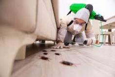 If you are looking for fumigation services, then JT Solution offers top-notch fumigation services in Midrand. We effectively eliminate pests and insects from your home or office, ensuring a clean and hygienic environment. Trust our skilled team to provide safe and reliable fumigation solutions for a pest-free space.