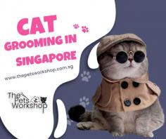 In bustling Singapore, pet owners are always on the lookout for exceptional services to ensure the well-being of their beloved feline companions. When it comes to cat grooming, Singapore offers a wide range of options tailored to meet the unique needs of these graceful creatures. With professional cat grooming services, you can provide your furry friend with the care and pampering they deserve. Cat grooming Singapore encompasses various essential services that contribute to the overall health and happiness of your cat. From regular grooming sessions to specialized treatments, experienced groomers employ their expertise to keep your cat looking and feeling their best. During grooming sessions, expert groomers use gentle techniques to brush your cat’s coat, removing tangles and preventing matting. They also provide thorough cleaning of the ears and eyes, ensuring your cat’s hygiene is maintained. Additionally, professional groomers can trim your cat’s nails, preventing them from becoming too long and causing discomfort. Cat grooming not only keeps your feline friend looking stylish but also offers several health benefits. Groomers can detect any skin issues or abnormalities, such as fleas, ticks, or skin infections, at an early stage. Regular grooming helps prevent the buildup of dirt and excess oils, reducing the risk of skin problems. When searching for a cat grooming service in Singapore, look for establishments that prioritize your cat’s comfort and safety. Grooming salons with experienced and trained professionals ensure a stress-free experience for your cat, minimizing anxiety and promoting a positive association with grooming. Remember, grooming is not just about aesthetics; it is an essential part of your cat’s overall well-being. By investing in professional cat grooming services in Singapore, you are providing your feline companion with the highest level of care and ensuring their happiness and vitality. In conclusion, when it comes to cat grooming in Singapore, choosing a reputable and reliable service is key. With expert groomers and a focus on your cat’s well-being, you can rest assured that your furry friend will receive the best possible care. Pamper your feline companion with professional cat grooming services in Singapore and watch them thrive.

Website : https://www.thepetsworkshop.com.sg/