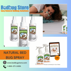 With our potent and effective Natural Bed Bug Spray, you can get rid of bed bugs naturally. Our product, which is made from a special combination of botanical elements, is effective against bed bugs while being kind to the environment and your health. Feel relieved knowing that you are eradicating those annoying pests from your home using a safe and non-toxic method. Take charge with our natural bed bug spray today and stop letting bed bugs ruin your sleep. For more information please call us at 1-866-371-2499
