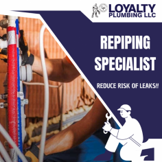 Avoid Plumbing Problems with Whole-Home Repipe

Our team of expert plumbers has years of experience in whole-home repiping and can provide you with the best service possible. We use high-quality materials and state-of-the-art techniques to ensure that your new plumbing system will last for years to come. Send us an email at info@loyaltyplumbingllc.com for more details.