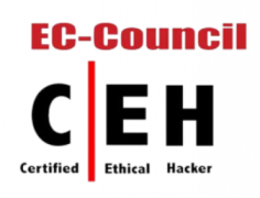 Join Tsaaro Academy's Certified Ethical Hacker (CEH v12) training course and acquire the latest techniques and tools used by battle-hardened ethical hackers