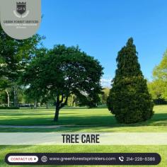 Tree Care Services Near Me

A landscape garden will only look beautiful if it undergoes periodic care and maintenance. Green Forest Sprinklers comes with professional experts who are well-trained to provide an exceptional tree care service for residential and commercial lawns.

Know more: https://greenforestsprinklers.com/tree-care/
