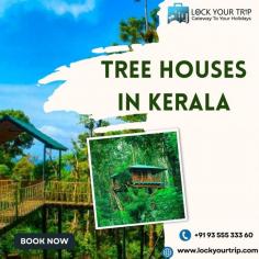 Tree houses in Kerala are a unique and popular accommodation option that allows visitors to experience the natural beauty of the region in a distinct way. Kerala, often referred to as "God's Own Country," is known for its lush green landscapes, serene backwaters, and rich biodiversity. Tree houses in Kerala offer a perfect blend of nature and comfort, allowing guests to enjoy the tranquility of the surrounding forests while staying in a cozy and well-equipped accommodation.
More Info : -