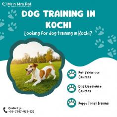 Dog Training in Kochi	

Looking for dog training in Kochi? Our professional trainers provide personalized programs for obedience training, behaviour modification, and puppy training. Build a strong bond with your furry friend using positive reinforcement techniques. Book your dog trainer in Kochi online today and be worry-free; Contact us now for a rewarding training experience!

View Site: https://www.mrnmrspet.com/dogs-training-in-kochi
