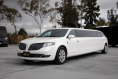 Are you in search of Luxury Airport Transfers Near Me? ABA Unique Limousine Inc. & Transportation has served Southern California for over 30+ years. Say goodbye to the stress of finding a reliable Uber driver or affordable airport parking. Our worry-free transfers cater to individuals in town cars or luxury limos and large families and groups in vans and mini-coaches. Our vehicles offer comfort with seat belts, personal air conditioners, audio/video systems, and more. Enjoy a safe and spacious ride to your destination with great deals on cruise transfers. Travel in style with us today!  For more information, visit our website https://abalimos.com/services/.