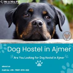 Are You Looking for Dog Boarding Services in Ajmer? Your beloved pet will enjoy a comfortable and safe stay at our expertly managed facility. Count on us to provide you with the best care and a great time! Book your Dog Boarding in Ajmer online today and be worry free; Contact us now for a rewarding dog hostel experience!

vist site : https://www.mrnmrspet.com/dog-hostel-in-ajmer


