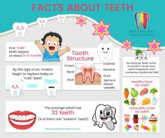 Facts about Teeth