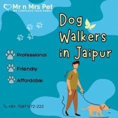 Are You Looking for Dog Walkers in Jaipur? Our experienced team of dog walkers is dedicated to keeping your furry friend active, happy, and well-socialized. Book your dog Walkers online today and be worry-free; Contact us now.
vist site : https://www.mrnmrspet.com/dog-walking-in-jaipur

