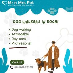Are You Looking for Dog Walkers in Kochi? Our experienced team of dog walkers is dedicated to keeping your furry friend active, happy, and well-socialized. Book your dog Walkers online today and be worry-free; Contact us now.
vist site : https://www.mrnmrspet.com/dog-walking-in-kochi
