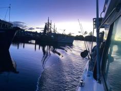 If you want an exceptional fishing experience, try Cushy Fishing Charter's Charter Boat Gold Coast. Their expert guides help you catch incredible fish every time. Don't miss this opportunity. Book your trip today for an unforgettable adventure.
https://cushyfishingcharters.com.au/fishing-charters/