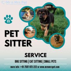 Are You Looking for Dog Boarding Services in Faridabad? Your beloved pet will enjoy a comfortable and safe stay at our expertly managed facility. Count on us to provide you with the best care and a great time! Book your Dog Boarding in Faridabad online today and be worry free; Contact us now for a rewarding dog hostel experience!
