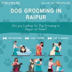 Dog Grooming in Raipur	

Are you Looking for Dog Grooming in Raipur at Home? Our expert and certified pet grooming in Raipur will come to your home and groom your pet. Book your dog grooming in Raipur today and be worry-free; Contact us now for a rewarding grooming experience!

View Site: https://www.mrnmrspet.com/dog-grooming-in-raipur
