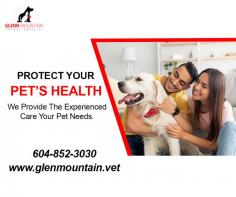 Effective Pet Diseases Treatment Abbotsford by a qualified veterinarian

Do you have a pet? A lot of people do. And it's very important to take care of them. That's why at Pet Diseases Treatment Abbotsford, we have the best pet doctors. They can diagnose and treat your pet for any disease. You don't have to worry about your pet being sick and not getting better because we'll be there to help.