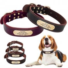 Classic Elegance: The Allure of Leather Dog Collars


Indulge in timeless sophistication with leather dog collars. These accessories exude classic elegance while providing durability. Available in various designs and colors, leather collars not only enhance your dog's appearance but also stand the test of time, becoming more beautiful with age.

Source Link: https://www.pawlane.com.au/

