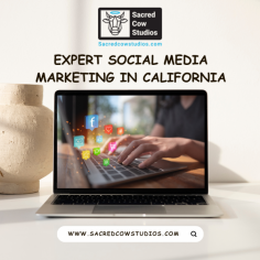 Transforming your followers into customers is not a distant dream. It can become a tangible reality with the help of a trusted and experienced social media marketing agency in California. For more information and to speak to social media experts, get in touch with Sacred Cow Studios.

