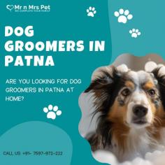 Dog Groomers in Patna	

Are you Looking for Dog Groomers in Patna at Home? Our expert and certified pet groomers in Patna will come to your home and groom your pet. Book your dog groomers in Patna today and be worry-free; Contact us now for a rewarding grooming experience!

View Site: https://www.mrnmrspet.com/dog-grooming-in-patna
