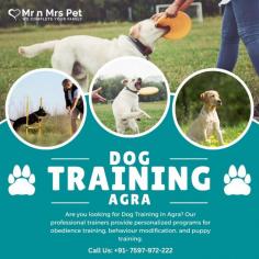 Are you looking for Dog Training in Agra? Our professional trainers provide personalized programs for obedience training, behaviour modification, and puppy training. Build a strong bond with your furry friend using positive reinforcement techniques. Book your dog trainer in Agra online today and be worry-free; Contact us now for a rewarding training experience!

View Site: https://www.mrnmrspet.com/dogs-training-in-agra
