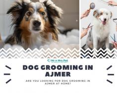 Are you Looking for Dog Grooming Services in Ajmer at Home? Our expert and certified pet groomer in Ajmer will come to your home and groom your pet. Book your dog grooming service in Ajmer today and be worry-free; Contact us now for a rewarding Grooming experience!

View Site: https://www.mrnmrspet.com/dog-grooming-in-ajmer
