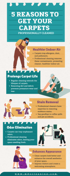 Dirty carpets can make your home look and feel unclean, and they can also be a health hazard. Professional carpet cleaning can remove dirt, dust, allergens, and other contaminants from your carpets, leaving them looking and smelling fresh again.
