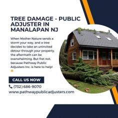 Tree Damage - Public Adjuster in Manalapan NJ