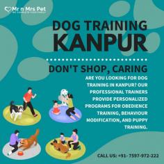 Are you looking for Dog Training Session for Pet Parents in Kanpur? Our professional trainers provide personalized programs for obedience training, behaviour modification, and puppy training. Build a strong bond with your furry friend using positive reinforcement techniques. Book your dog trainer in Kanpur online today and be worry-free; Contact us now for a rewarding training experience!

View Site: https://www.mrnmrspet.com/dogs-training-in-kanpur
