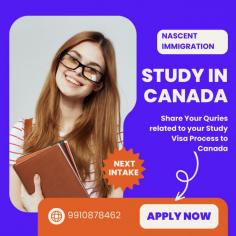 Nascent Immigration is a Team of Professionals who kept your personal and professional needs into consideration before recommending a visa for you. They are there to study your profile thoroughly and counsel you as per your future aspirations. Those Students who are planning to study abroad we assure that once you meet our consulting professionals all your doubts and queries will be answered and you’ll just want to be proactive enough to complete the process at the earliest.https://nascentimmigration.com/