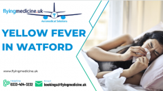 Yellow fever describes the symptoms people get when they are affected by the Yellow Fever i.e their eyes become yellow (jaundiced) and they develop a high fever.

Know more: https://www.flyingmedicine.uk/yellowfever-vaccination