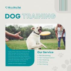 Puppy Potty Training in Chennai	

Puppy Potty Training in Chennai: We offer the best home dog training in Chennai. Mr n Mrs Pet provides pet training services like dog obedience training, behaviour training, dog guard training, and puppy toilet training service in Chennai, Tamil Nadu.

View Site: https://www.mrnmrspet.com/dogs-training-in-chennai

