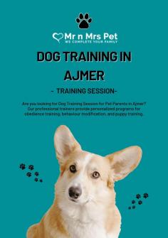 Dog Training in Ajmer	

Are you looking for Dog Training in Ajmer? Our professional trainers provide personalized programs for obedience training, behaviour modification, and puppy training. Build a strong bond with your furry friend using positive reinforcement techniques. Book your dog trainer in Ajmer online today and be worry-free; Contact us now for a rewarding training experience!

View Site: https://www.mrnmrspet.com/dogs-training-in-ajmer

