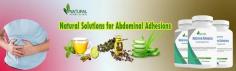 Efficacious Abdominal Adhesions Home Remedies
Without using harsh chemicals or intrusive procedures, our specially designed Abdominal Adhesions Home Remedies provide mild yet effective treatment by targeting the underlying cause of adhesions.
