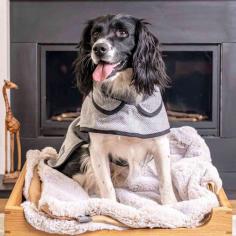 Looking for luxury pet blanket online in UK? Shop for the best Luxury dog blankets are designed with your pet's comfort in mind. Crafted from the finest materials, these blankets provide a soft and plush surface that your dog will love to snuggle into. Whether it's for naptime or a good night's sleep, these blankets offer a warm and inviting retreat.  Luxury Pet Blankets Handmade in the London, UK by Dudley&Co . See more ideas about luxury dog, luxury pet, dog blanket. 