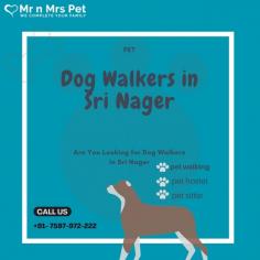 Are You Looking for Dog Walkers in Sri Nagar? Our experienced team of dog walkers is dedicated to keeping your furry friend active, happy, and well-socialized. Book your dog Walkers online today and be worry-free; Contact us now.
