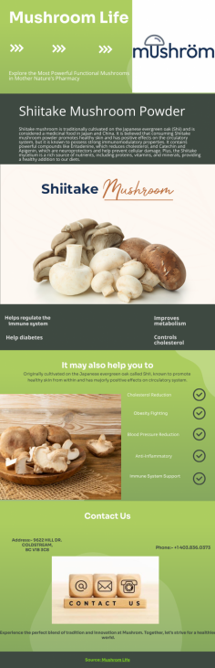 Get Shiitake mushrooms that are traditionally refined and after the refining process, these mushrooms will be sliced into fine pieces to make shiitake mushroom powder. It boosts the immune system. Mushrom Life is one of the greatest-selling organizations on the planet that are dealing in a wide range of mushroom powders. Contact us today to get your order!