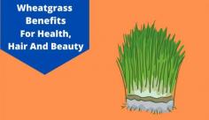 Check out this blog at Livlong for more details on the 11 amazing wheatgrass juice benefits for digestion, enhances immunity, and boosts heart health.
