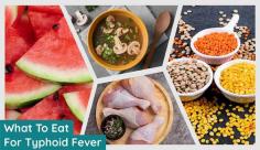 Learn about the best Typhoid foods to boost immunity. In this article, you’ll know about what foods to eat in typhoid like fruits, soups, etc. Find the best Typhoid foods to eat at Livlong now!
