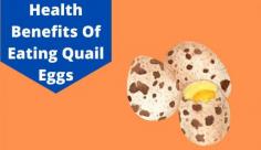 Learn about the benefits of eating quail eggs for good health as they are rich in iron, Vitamin A, etc. Know more about the health benefits of quail eggs at Livlong.